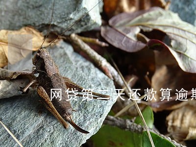 网贷第二天还款算逾期吗 网贷第二天还款算逾期吗