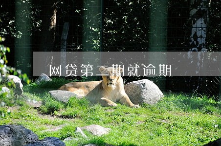 网贷第二期就逾期 网贷第二期就逾期
