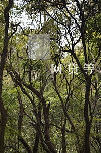 网贷等本等息逾期会怎么样 网贷等本等息逾期会怎么样
