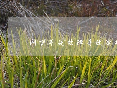 网贷系统故障导致逾期了怎么办 网贷系统故障导致逾期了怎么办