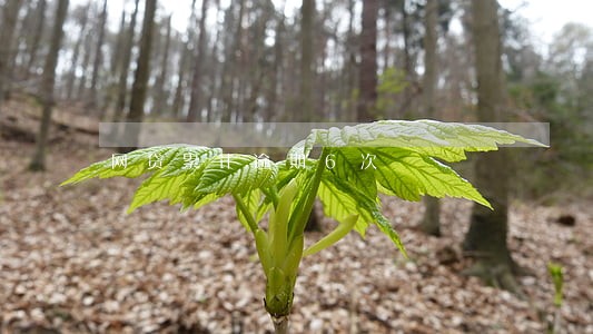 网贷累计逾期6次 网贷累计逾期6次