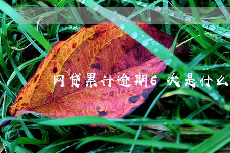 网贷累计逾期6次是什么意思 网贷累计逾期6次是什么意思