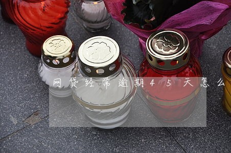 网贷经常逾期45天怎么办 网贷经常逾期45天怎么办