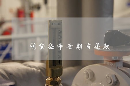 网贷经常逾期有还款 网贷经常逾期有还款