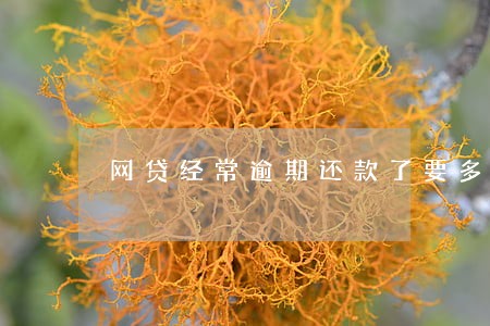 网贷经常逾期还款了要多久才能贷 网贷经常逾期还款了要多久才能贷