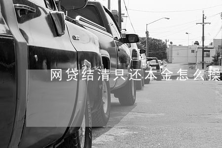网贷结清只还本金怎么操作 网贷结清只还本金怎么操作