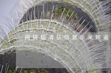 网贷结清征信显示呆账逾期 网贷结清征信显示呆账逾期