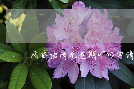 网贷结清无逾期可以申请房贷吗