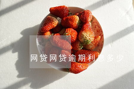 网贷网贷逾期利息多少 网贷网贷逾期利息多少