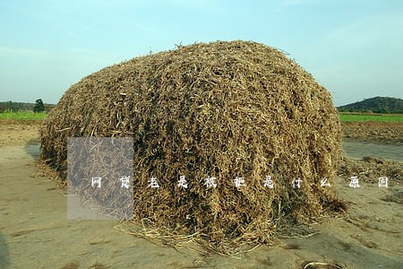 网贷老是被拒是什么原因没有逾期 网贷老是被拒是什么原因没有逾期