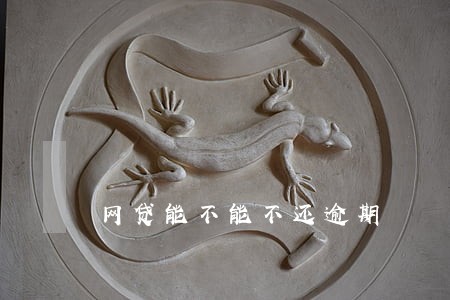 网贷能不能不还逾期 网贷能不能不还逾期
