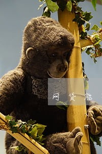 网贷能不能逾期 网贷能不能逾期