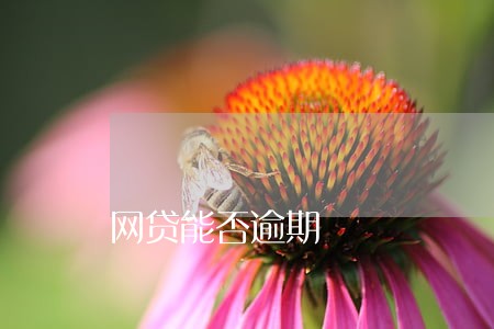 网贷能否逾期 网贷能否逾期