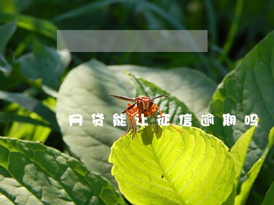 网贷能让征信逾期吗 网贷能让征信逾期吗