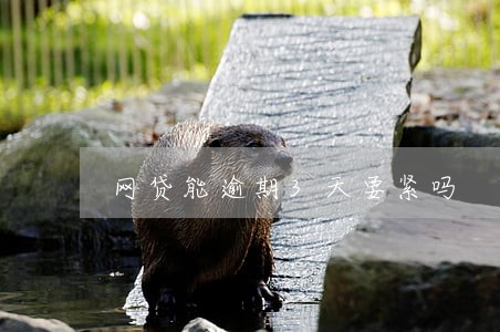 网贷能逾期3天要紧吗 网贷能逾期3天要紧吗