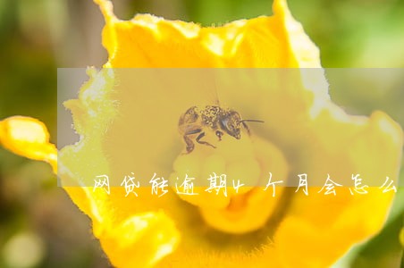 网贷能逾期4个月会怎么样 网贷能逾期4个月会怎么样