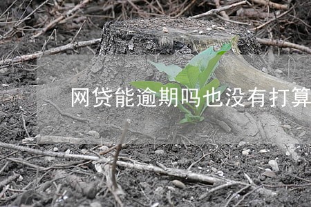 网贷能逾期吗也没有打算买房 网贷能逾期吗也没有打算买房