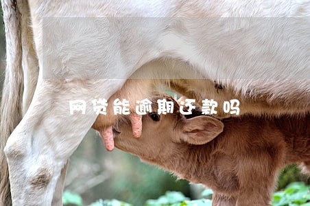网贷能逾期还款吗 网贷能逾期还款吗