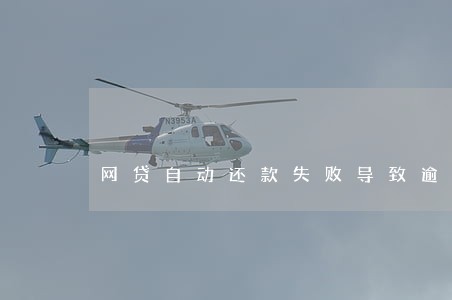 网贷自动还款失败导致逾期怎么办