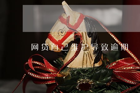 网贷自己维护导致逾期 网贷自己维护导致逾期