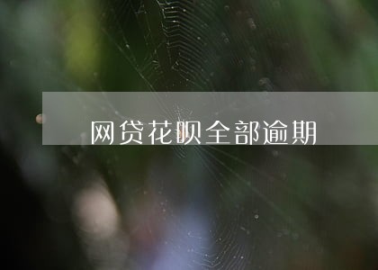 网贷花呗全部逾期 网贷花呗全部逾期