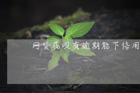 网贷花呗有逾期能下信用卡吗
