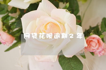 网贷花呗逾期2年