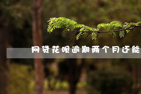网贷花呗逾期两个月还能用吗 网贷花呗逾期两个月还能用吗