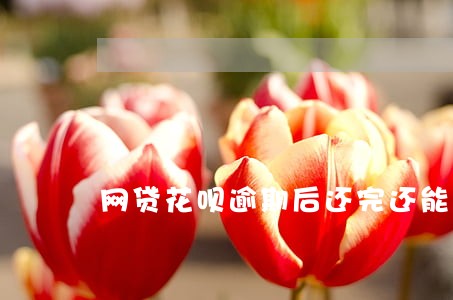 网贷花呗逾期后还完还能用吗