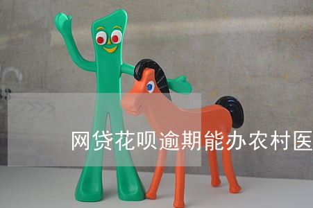 网贷花呗逾期能办农村医疗吗 网贷花呗逾期能办农村医疗吗