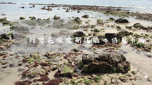 网贷花呗逾期过能办信用卡吗