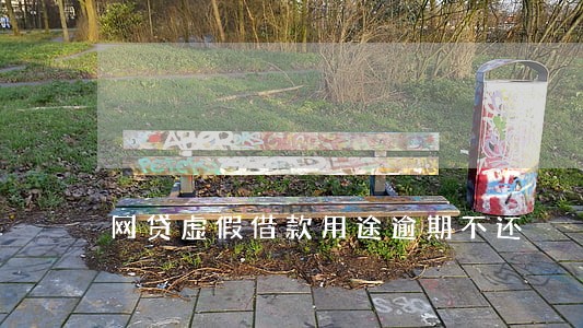 网贷虚假借款用途逾期不还
