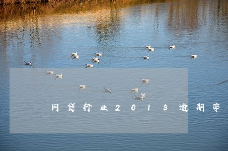 网贷行业2018逾期率