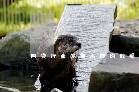 网贷行业逾期人群的数据 网贷行业逾期人群的数据