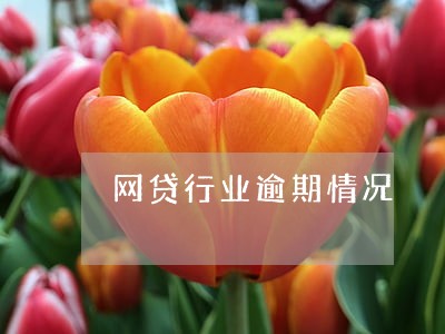 网贷行业逾期情况 网贷行业逾期情况