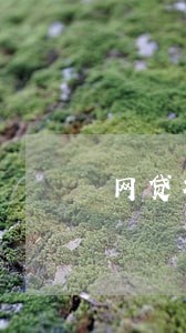 网贷被代偿后可以商量只还本金吗 网贷被代偿后可以商量只还本金吗