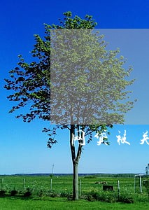 网贷被关闭造成逾期 网贷被关闭造成逾期