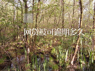 网贷被可逾期多久 网贷被可逾期多久