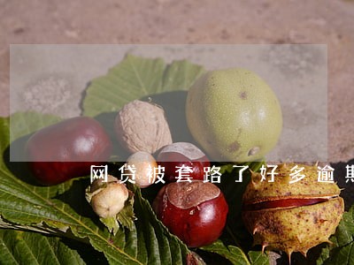 网贷被套路了好多逾期了 网贷被套路了好多逾期了