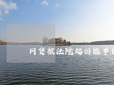 网贷被法院起诉能申请分期吗