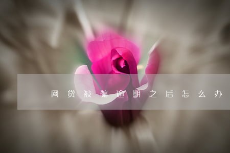 网贷被骗逾期之后怎么办 网贷被骗逾期之后怎么办