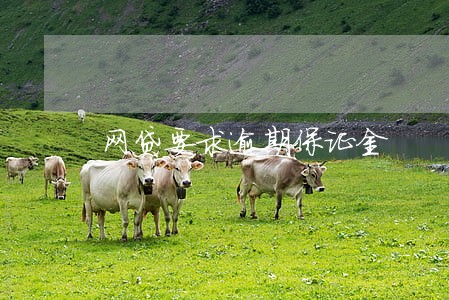 网贷要求逾期保证金 网贷要求逾期保证金