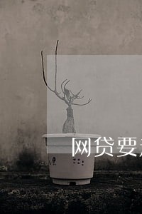 网贷要走程序会怎样 网贷要走程序会怎样
