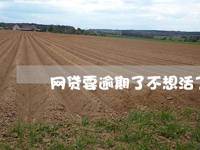 网贷要逾期了不想活了 网贷要逾期了不想活了