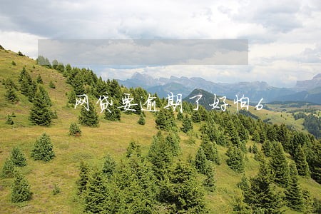 网贷要逾期了好怕6 网贷要逾期了好怕6