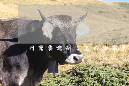 网贷要逾期了怎么给家里人说 网贷要逾期了怎么给家里人说