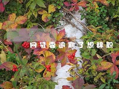 网贷要逾期了想辞职 网贷要逾期了想辞职