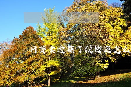 网贷要逾期了没钱还怎么协商 网贷要逾期了没钱还怎么协商