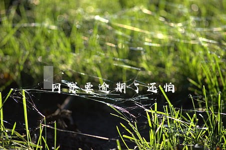 网贷要逾期了还怕 网贷要逾期了还怕