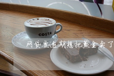 网贷要逾期想把黄金卖了 网贷要逾期想把黄金卖了